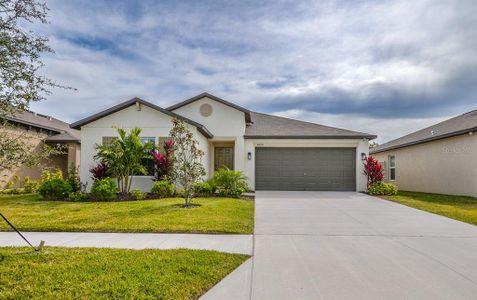 New construction Single-Family house 5490 Blue Azure Drive, Wimauma, FL 33598 - photo 0