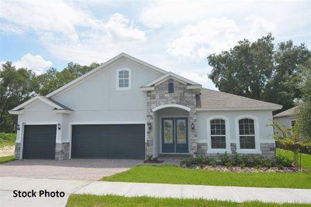 New construction Single-Family house 567 Via Bella Court, Howey-in-the-Hills, FL 34737 - photo 0