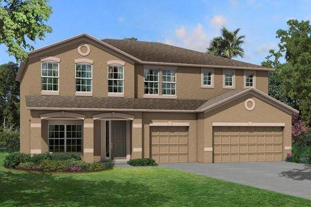 New construction Single-Family house 10805 Rolling Moss Road, Tampa, FL 33647 - photo 0