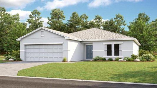 New construction Single-Family house 993 Calico Pointe Circle, Groveland, FL 34736 - photo 0