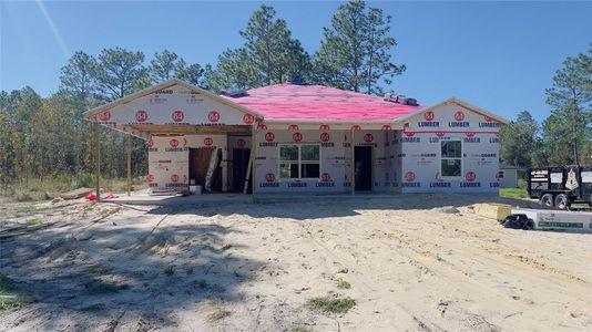 New construction Single-Family house 890 Ne 150Th Court, Williston, FL 32696 - photo 0