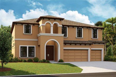 New construction Single-Family house 12821 Tortoise Shell Place, Riverview, FL 33579 - photo 0