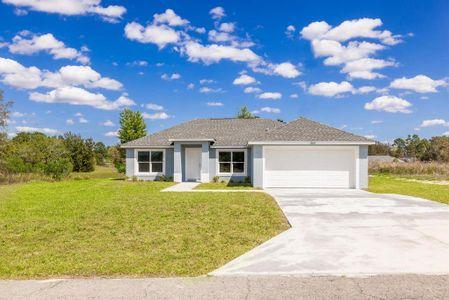 New construction Single-Family house 13205 Sw 113Th Place, Dunnellon, FL 34432 - photo 0
