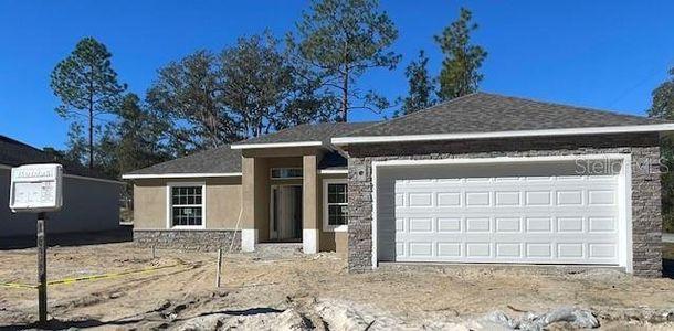 New construction Single-Family house 174 Palm Court Drive, Umatilla, FL 32784 - photo 0