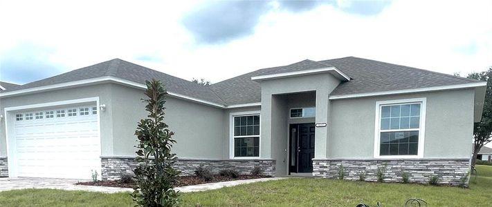 New construction Single-Family house 162 Palm Court Drive, Umatilla, FL 32784 - photo 0