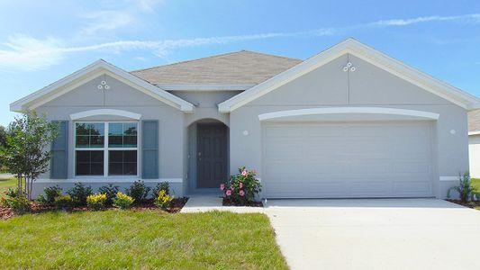 New construction Single-Family house 8510 Triumph Circle, Wildwood, FL 34785 - photo 0