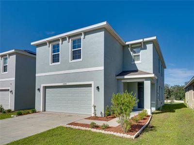 New construction Single-Family house 10940 Trailing Vine Drive, Tampa, FL 33610 - photo 0
