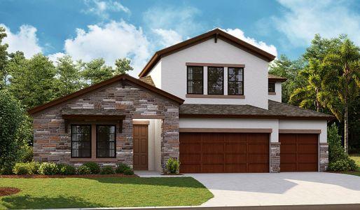 New construction Single-Family house 12832 Twin Bridges Drive, Riverview, FL 33579 - photo 0