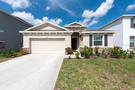 New construction Single-Family house 13136 Brookside Moss Drive, Riverview, FL 33579 - photo 0