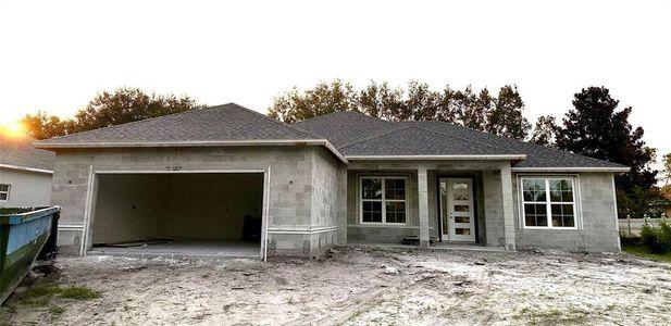 New construction Single-Family house 39 Fairmont Lane, Palm Coast, FL 32137 - photo 0