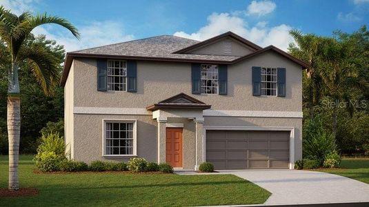 New construction Single-Family house 5166 Fiddle Fig Avenue, Wimauma, FL 33598 Providence II- photo 0