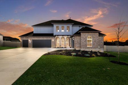 New construction Single-Family house 258 Brins Way, Dripping Springs, TX 78620 - photo 0