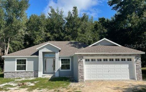 New construction Single-Family house 150 Palm Court Drive, Umatilla, FL 32784 - photo 0
