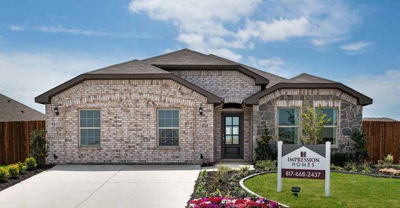 Woodland Springs by Impression Homes in 4725 Sassafras Drive, Fort Worth, TX 76036 - photo