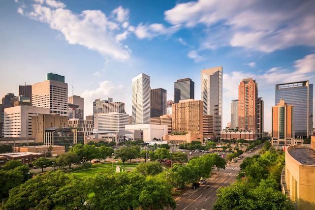 Houston City View